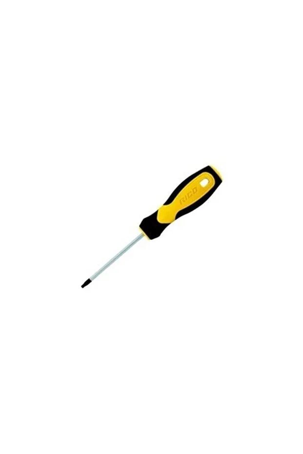 TORX KLASİK TORNAVİDA T20X100