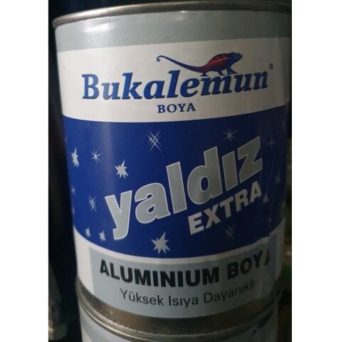 YALDIZ SOBA BOYASI 100 GR